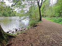Portglenone Forest Park
