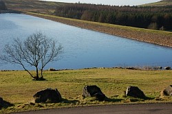 Killylane Reservoir Near Larne