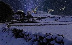 Slemish Mountain at Night in Snow With Birds