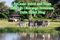 SxCxalo travel and Tours Safari Images
